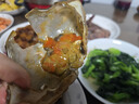 遇上鮮 舟山紅膏醬蟹 韓式生腌梭子蟹 凈含量6-8兩/只 2只裝 源頭直發(fā) 曬單實(shí)拍圖