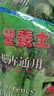 臨雅提根龜背竹綠植盆栽室內客廳桌面大型凈化空氣懶人好養活高級植物 提根龜背竹1-1.1m+圓柱樹(shù)脂盆 曬單實(shí)拍圖