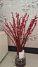 【紅色招財銀柳】干花真花鮮枝耐寒年宵花水培花卉室內擺放裝飾花 60厘米【30支】送燈籠 曬單實(shí)拍圖
