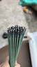 Aseblarm綠皮焊條薄鐵皮專(zhuān)用家用超細鍍鋅管焊接電焊條方管鐵皮電焊機配套 50根 曬單實(shí)拍圖