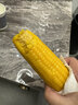 溪邊禾2025新鮮黃糯玉米真空獨立裝蒸煮微波爐加熱即食玉米棒 「皇金+素銀」孝親育娃8穗【300g-360g】各4穗 曬單實(shí)拍圖