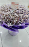 【小時(shí)達】鮮花成品有錢(qián)花定制生日禮物鮮花情人節同城配送禮品 紫色滿(mǎn)天星款（不含現金）參考520 曬單實(shí)拍圖