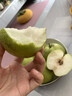 鮮美驚【順豐包郵】陜西黃陵翡翠梨9斤大梨梨九分甜梨九分香梨禮盒裝 9斤 大果 曬單實(shí)拍圖