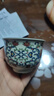 蘇氏陶瓷新年禮物青花永樂(lè )鎏銀茶杯主人杯個(gè)人杯品茗杯功夫茶杯節日伴手禮 曬單實(shí)拍圖