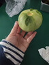 （霖錦）山東綠寶石甜瓜脆甜多汁單果250g+山東沈陽(yáng)倉隨機發(fā) 帶箱約5斤，凈果4.5斤 曬單實(shí)拍圖