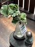 JCZS德國品牌水培圓葉福祿桐錢(qián)多多盆栽花卉植物客廳室內桌面茶幾懶人 造型錢(qián)多多福祿桐+水滴錘紋白瓶+吊牌 曬單實(shí)拍圖