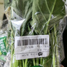 有機匯有機菠菜 綠葉青菜火鍋菜有機蔬菜  有機認證農場(chǎng)種植 新鮮無(wú)農殘 250g 曬單實(shí)拍圖