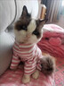 阿莫爾貓咪衣服春秋薄款條紋睡衣保暖連體衣布偶英短小貓寵物幼貓防掉毛 粉色小狗 M 曬單實(shí)拍圖