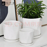 九千谷陶瓷花盆北歐簡(jiǎn)約輕奢高級家用桌面蝴蝶蘭多肉綠植盆栽4件套3840 曬單實(shí)拍圖