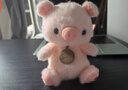 可愛(ài)毛茸茸墩墩小象玩偶創(chuàng  )意呆萌浣熊毛絨玩具兒童生日禮物安撫女 墩墩粉豬 16厘米【超萌桌伴娃娃】 曬單實(shí)拍圖