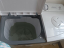 小鴨牌 10公斤大容量 洗衣機雙桶半自動(dòng) 雙缸家用波輪脫水半全自動(dòng)小型迷你帶甩干 10公斤藍光款 曬單實(shí)拍圖