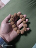 石傳百世真品金剛菩提手串男士菩提子手鏈文玩生日新年禮物送男友 六瓣金剛菩提 曬單實(shí)拍圖
