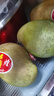 生吃酸芒果海南嫩貴妃5斤特產(chǎn)新鮮水果四季酸脆1/2/3斤象牙青芒果 2斤+6包配料 曬單實(shí)拍圖