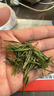極白綠茶明前安吉白茶貴芽3.3*30g 2025年五鉆便攜裝新茶茶葉上市 曬單實(shí)拍圖