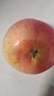京愿甘肅天水花牛蘋(píng)果水果粉面蛇果國產(chǎn)紅果新鮮應季時(shí)令水果生鮮 5斤優(yōu)選裝70-75mm 凈重4.5斤 曬單實(shí)拍圖