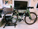 坎普（CAMP）GX300 公路車(chē)鋁合金車(chē)架9速油碟禧瑪諾變速自行車(chē) 消光綠9速 405 曬單實(shí)拍圖