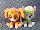 汪汪隊立大功（PAW PATROL）狗狗巡邏隊毛絨玩具男女孩可愛(ài)小狗玩偶公仔兒童節禮品生日禮物 汪汪隊毛絨-15-18cm小號天天 cm 曬單實(shí)拍圖