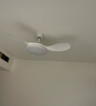 TCL全光譜護眼風(fēng)扇燈客廳吊扇燈餐廳燈風(fēng)扇一體電風(fēng)扇吊燈 吊桿白色-56寸五葉-變頻-遙控 曬單實(shí)拍圖