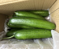 京喜加【東東買(mǎi)菜】壽光小黃瓜現摘荷蘭黃瓜新鮮蔬菜生吃低卡路里減脂 小黃瓜凈重 3斤 曬單實(shí)拍圖
