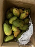 小臺農芒果【多地次日達】小芒果新鮮水果整箱應當季海南熱帶水果 甄選果【單果80g+】 9斤裝【蕞劃算】?jì)糁?.5斤 曬單實(shí)拍圖