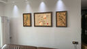 皇嘉金彩中古風(fēng)客廳裝飾畫(huà)高級感葫蘆沙發(fā)背景墻掛畫(huà)復古藝術(shù)三聯(lián)組合壁畫(huà) G9836福祿A 35*50/70*50/35*50（適合2米左右沙發(fā)） 油畫(huà)布+環(huán)保邊框 輕奢金框 曬單實(shí)拍圖