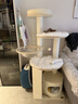 獸牌慕斯實(shí)木貓爬架不占地貓架貓窩貓抓板一體帶太空艙大貓暖冬可用 慕斯Pro-上漆好打理【推薦】 曬單實(shí)拍圖