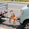 四萬(wàn)公里貨車(chē)貨物綁帶拖車(chē)剎車(chē)繩子摩托車(chē)捆綁繃帶棘輪拉緊收緊器打包神器 曬單實(shí)拍圖