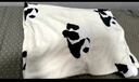 野獸派家居（tbh）熊貓嘭嘭二合一法蘭絨暖香毯/抱枕四季客廳沙發(fā)蓋毯車(chē)載抱枕毯子 二合一法蘭絨暖香毯/抱枕 60cm*40cm 抱枕,毯子120*150cm 曬單實(shí)拍圖