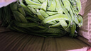 云南新鮮現摘蔬菜豌豆角甜脆荷蘭豆四季豆當季農家自種蔬菜脆嫩 荷蘭豆5斤帶箱 曬單實(shí)拍圖