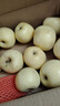 奶油富士蘋(píng)果脆甜當季冰糖心牛奶黃金蘋(píng)果新鮮水果 帶箱9斤（中果70mm+) 曬單實(shí)拍圖