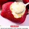 2025年現摘甘肅天水花牛蘋(píng)果脆甜多汁新鮮紅蛇果粉面寶寶輔食包郵 帶箱5斤  果徑75mm以上 曬單實(shí)拍圖