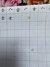 書(shū)行硬筆書(shū)法紙練字本 米字格田字格方格小學(xué)生鋼筆專(zhuān)用作品紙田字格(紅色10本） 曬單實(shí)拍圖