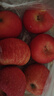 MIYUTAOYUAN正宗山東紅富士蘋(píng)果 時(shí)令水果 新鮮蘋(píng)果整箱 10斤一級果75-85mm凈重8.5斤+ 曬單實(shí)拍圖