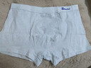 貓人青少年純棉男士四角內褲發(fā)育期初高中男孩學(xué)生胖童抑菌平角短褲衩 曬單實(shí)拍圖