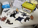 babycare&bctoys動(dòng)物模型兒童玩具動(dòng)物園仿真海洋桶12種動(dòng)物 曬單實(shí)拍圖