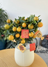 臨雅四季金桔樹(shù)盆栽帶果可食用年宵小橘子樹(shù)客廳室內好養花卉綠植盆景 四季金桔樹(shù)+紅色福桶盆+白塑托+吊牌 曬單實(shí)拍圖