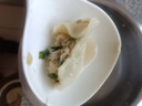 海鮮鲅魚(yú)水餃鲅魚(yú)餃子速凍蒸餃新鮮野生速食家庭營(yíng)養早餐半成品 海鮮鲅魚(yú)水餃1斤（約25個(gè)） 曬單實(shí)拍圖