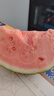 曉吸無(wú)籽麒麟西瓜約4kg 曬單實(shí)拍圖