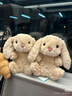 Jellycat米色甜美小兔小短腿公仔動(dòng)物毛絨玩偶娃娃生日新年禮物 甜美小兔 One Size 曬單實(shí)拍圖