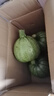 云南高原嫩南瓜小圓瓜綠皮瓜生鮮新鮮蔬菜夏季應季 嫩南瓜 1.5斤 凈重 曬單實(shí)拍圖