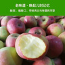 國光蘋(píng)果正宗老品種小國光酸甜脆口山東五蓮30年老樹(shù)自然成熟 5斤 中果60-70mm 曬單實(shí)拍圖