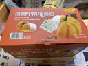 TASTY ELF 低糖小南瓜面包1.1kg 1.1kg 曬單實(shí)拍圖