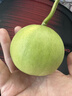 趣覓鮮馬連莊甜瓜山東萊西特產(chǎn)蜜寶王小香瓜青島蜜蜂甜瓜新鮮水果 5斤裝約8-12個(gè) 曬單實(shí)拍圖
