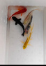 大型冷水純種紅白三色淡水好養耐活草金魚(yú)錦鯉魚(yú)苗觀(guān)賞魚(yú)活體 10-12CM紅白+三色+黑+白+黃+紅 曬單實(shí)拍圖