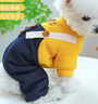 憨憨寵寵物狗狗衣服 狗衣服中小型犬泰迪衣服冬季加絨加厚背帶褲貓衣服 黃色背帶褲XL號推薦13-16斤寵物 曬單實(shí)拍圖