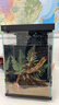米家智能桌面魚(yú)缸+畫(huà)法幾何仿蕨類(lèi)沉木造景套餐 曬單實(shí)拍圖