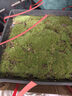 孫凱（SUNKAI）鮮活苔蘚青苔蘚 微景觀(guān)植物盆景生態(tài)瓶diy綠植水陸缸假山盆栽盆景 曬單實(shí)拍圖