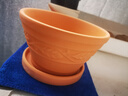 紅陶花盆綠植盆栽土盆粗陶花盆庭院復古網(wǎng)格花邊水果花盆 14.5*8紅陶樹(shù)葉 帶托盤(pán) 曬單實(shí)拍圖