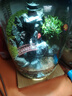 苔蘚微景觀(guān)生態(tài)瓶趣味造景綠植創(chuàng  )意禮物盆栽魚(yú)缸好養活桌面臥室 時(shí)來(lái)運轉流水(17*25cm)+木質(zhì)燈座 16*16*22（圓） 曬單實(shí)拍圖