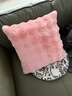 兔毛泡泡絨沙發(fā)抱枕高級感客廳床頭辦公室客廳床頭靠墊枕頭 兔毛絨-蜜桃粉 45cm*45cm 枕套 +枕芯 曬單實(shí)拍圖